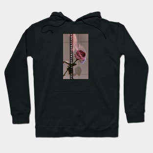 burning rose Hoodie